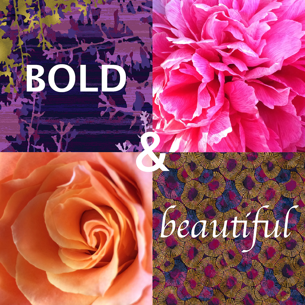 Bold and beautiful design collection