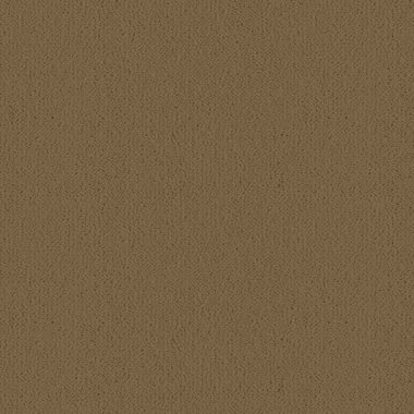Ulster Velvet | <strong>Canvas</strong> - Canvas | W9209