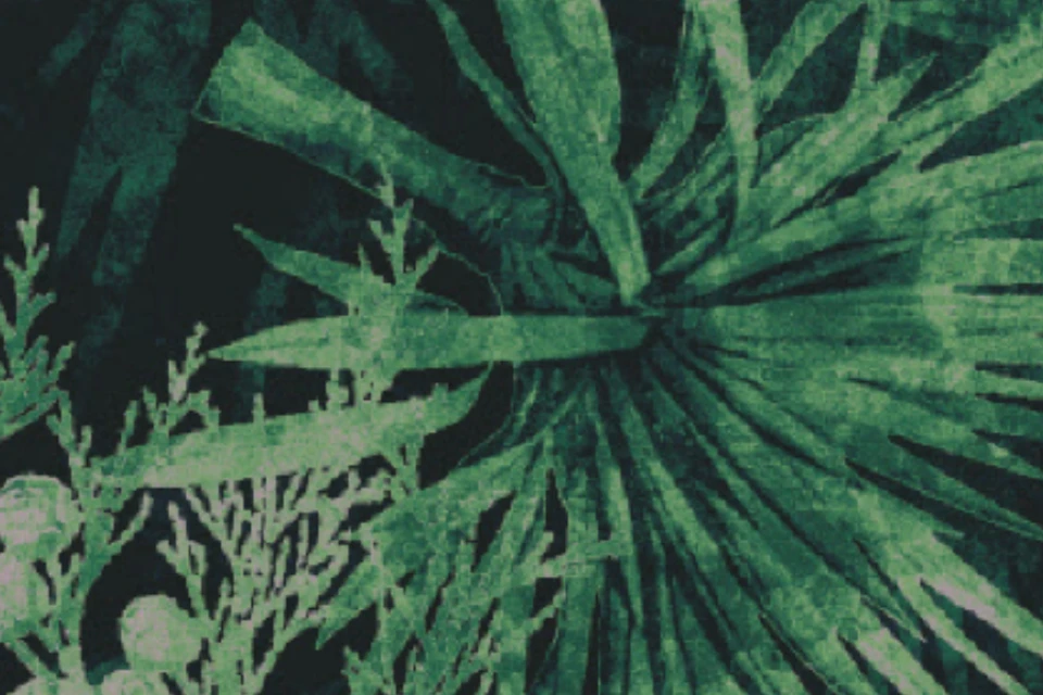 SE191797-1Q9_Forest_Designers_Edit_Ulster_Carpets.png