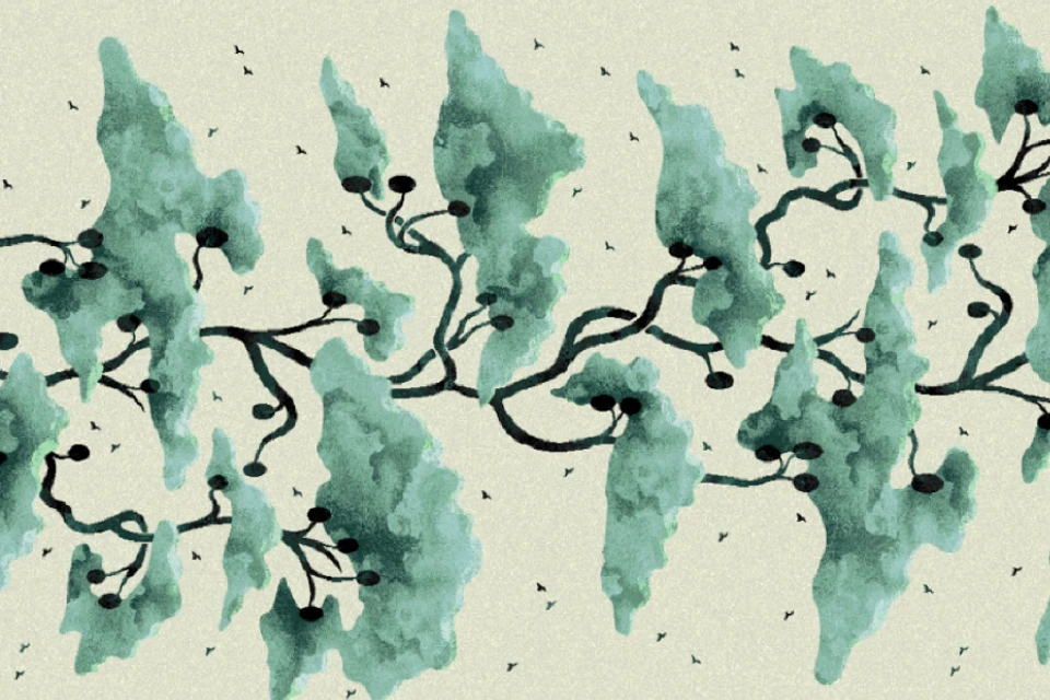 AH183265-1Q10_Forest_Designers_Edit_Ulster_Carpets.png