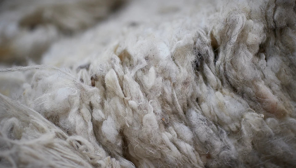 Hero_Does_all_wool_perform_the_same_Ulster_Carpets_Ulster_Yarns.png