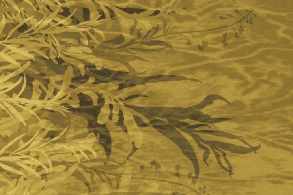 GA134731-1Q9_Seeds_Designers_Edit_Ulster_Carpets.png