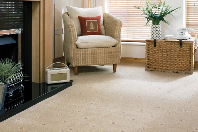 An example of Tazmin Camel Motif from Ulster Carpets in a home setting