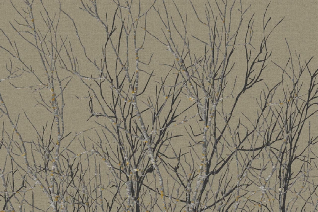 AH145386-1Q9_Forest_Designers_Edit_Ulster_Carpets.png