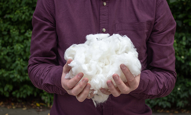 Wool_Sustainability_Ulster_Carpets.png