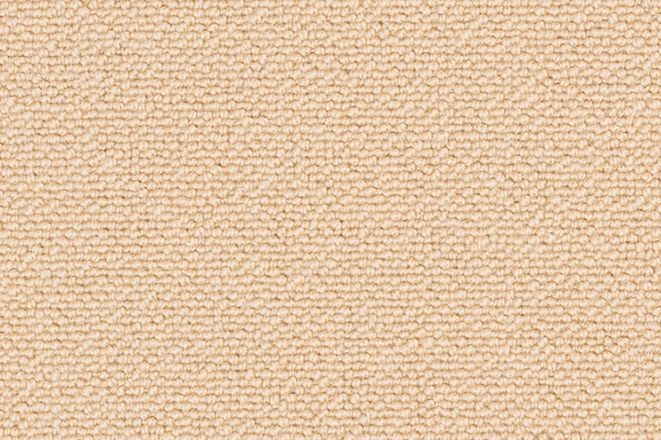 A swatch of Open Spaces Auckland Amaretti from Ulster Carpets