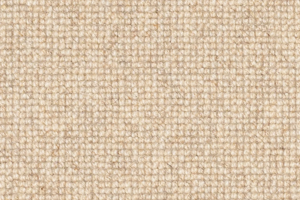 BELLWETHER 900X600.jpg