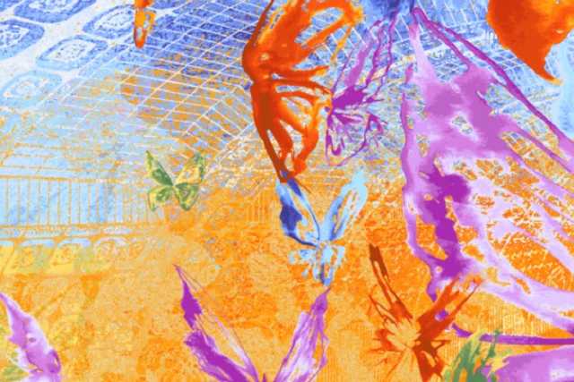A swatch from the Frida Kahlo Designers' Edit Collection from Ulster Carpets.