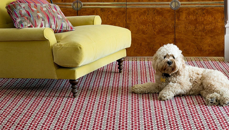 Alternative Flooring Ulster Carpets Group
