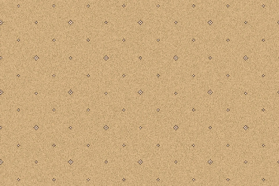 A swatch of Tazmin Kaftan Pindot from Ulster Carpets
