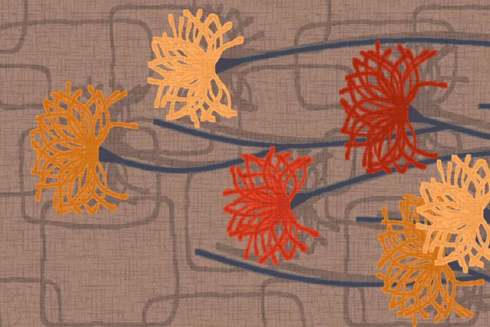 KN75387-1Q9 _Mid-Century_Designers_Edit_Ulster_Carpets.png