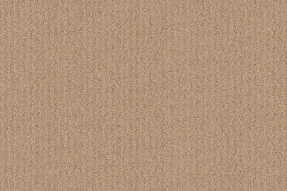 A swatch of Ulster Velvet Oatmeal from Ulster Carpets