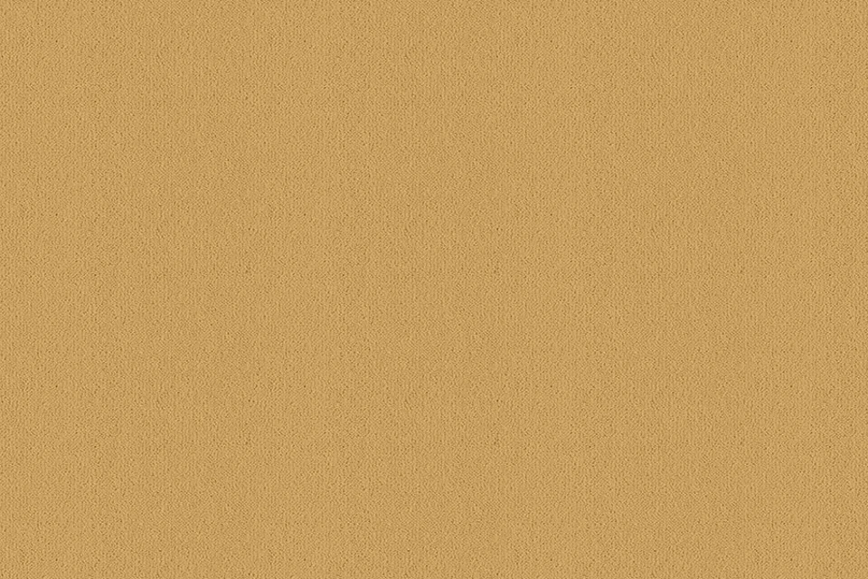 A swatch of Ulster Velvet Pyramid from Ulster Carpets