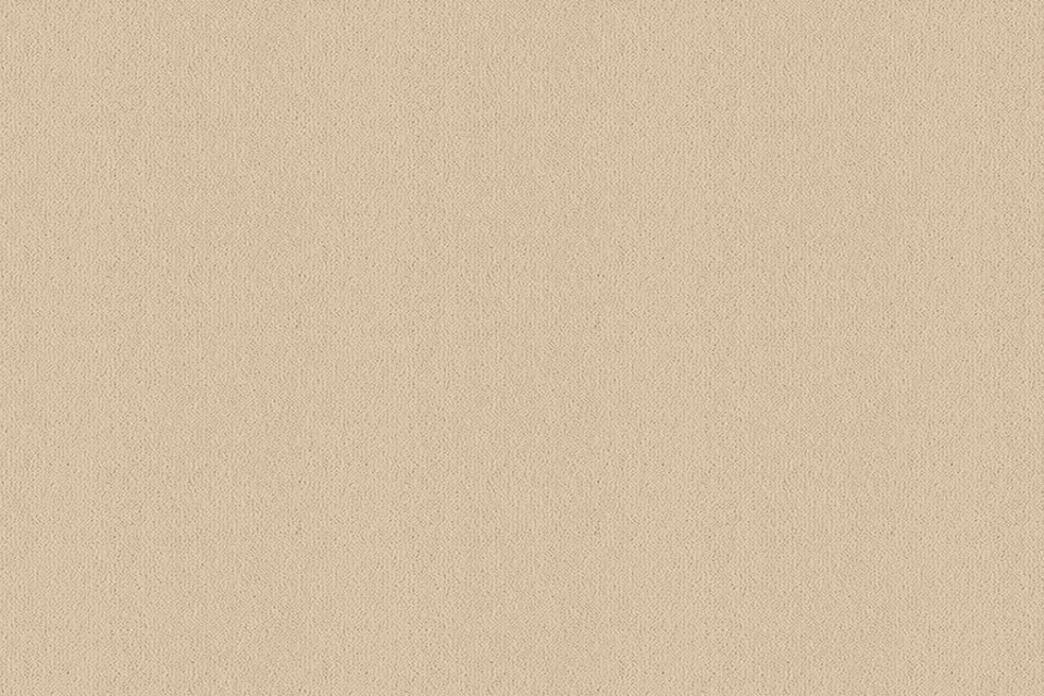 A swatch of Ulster Velvet Suede from Ulster Carpets