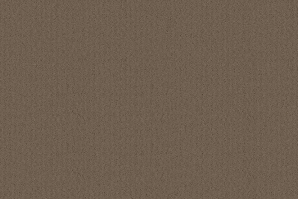A swatch of Ulster Velvet Mushroom from Ulster Carpets