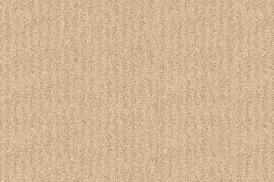 A swatch of Ulster Velvet Impala from Ulster Carpets