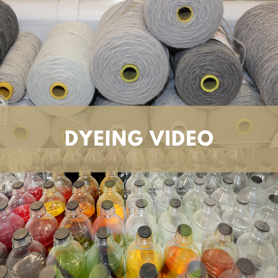Ulster Carpets - Dyeing process