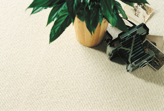 netural plain 100% wool loop carpet